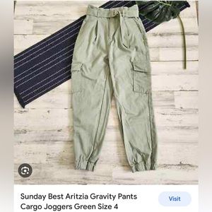 Aritzia Sunday Best cargo pants in green
